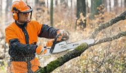 Chainsaw Operator